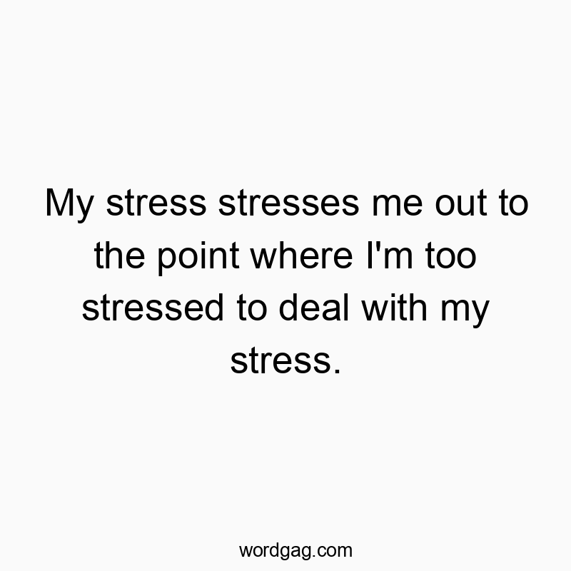 My stress stresses me out to the point where I'm too stressed to deal with my stress.