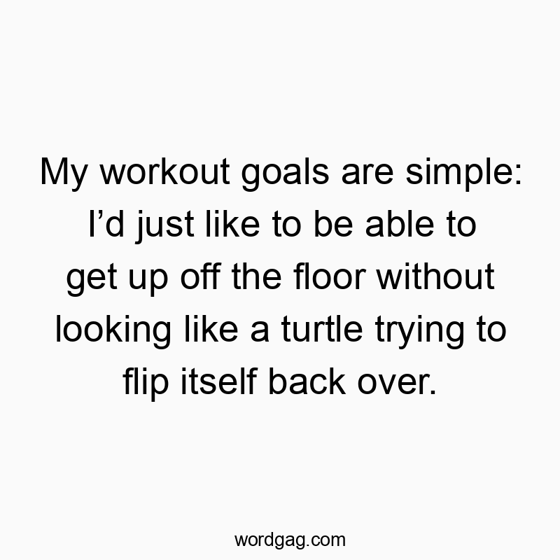 My workout goals are simple: I’d just like to be able to get up off the floor without looking like a turtle trying to flip itself back over.