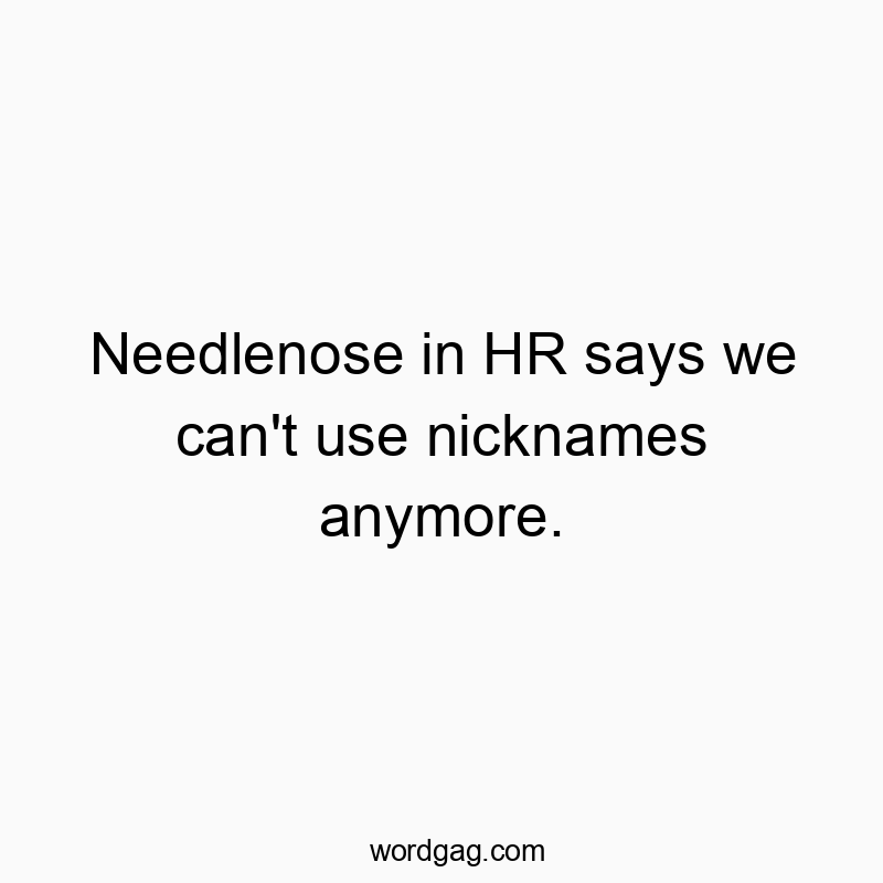 Needlenose in HR says we can’t use nicknames anymore.