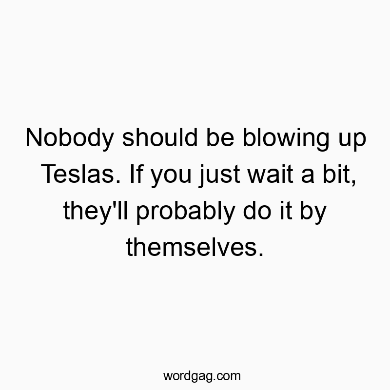 Nobody should be blowing up Teslas. If you just wait a bit, they’ll probably do it by themselves.