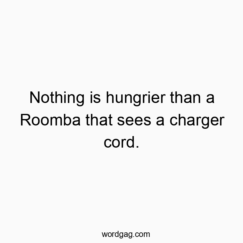 Nothing is hungrier than a Roomba that sees a charger cord.