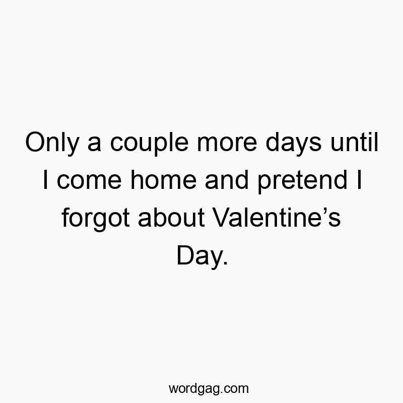 541 Funny day quotes - Only a couple more days until I come home and pretend I for…