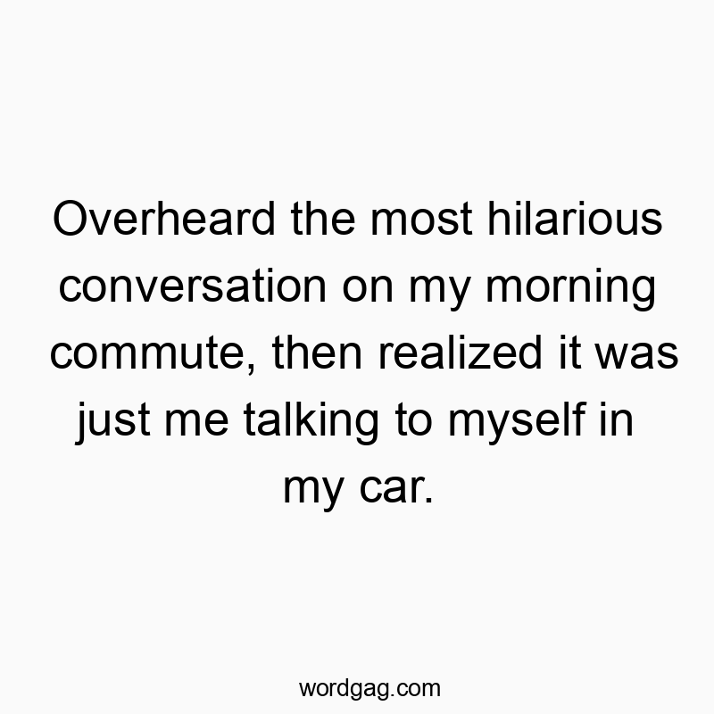Overheard the most hilarious conversation on my morning commute, then realized it was just me talking to myself in my car.