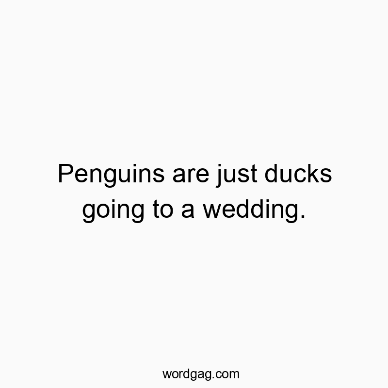 216 Funny comparison quotes - Penguins are just ducks going to a wedding.