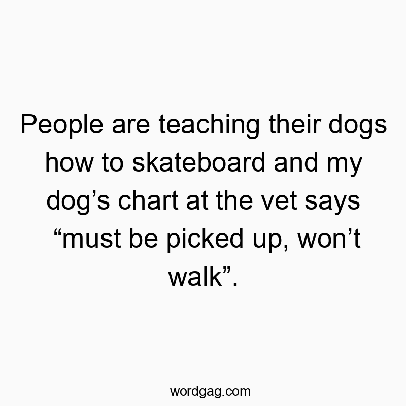 People are teaching their dogs how to skateboard and my dog’s chart at the vet says “must be picked up, won’t walk”.