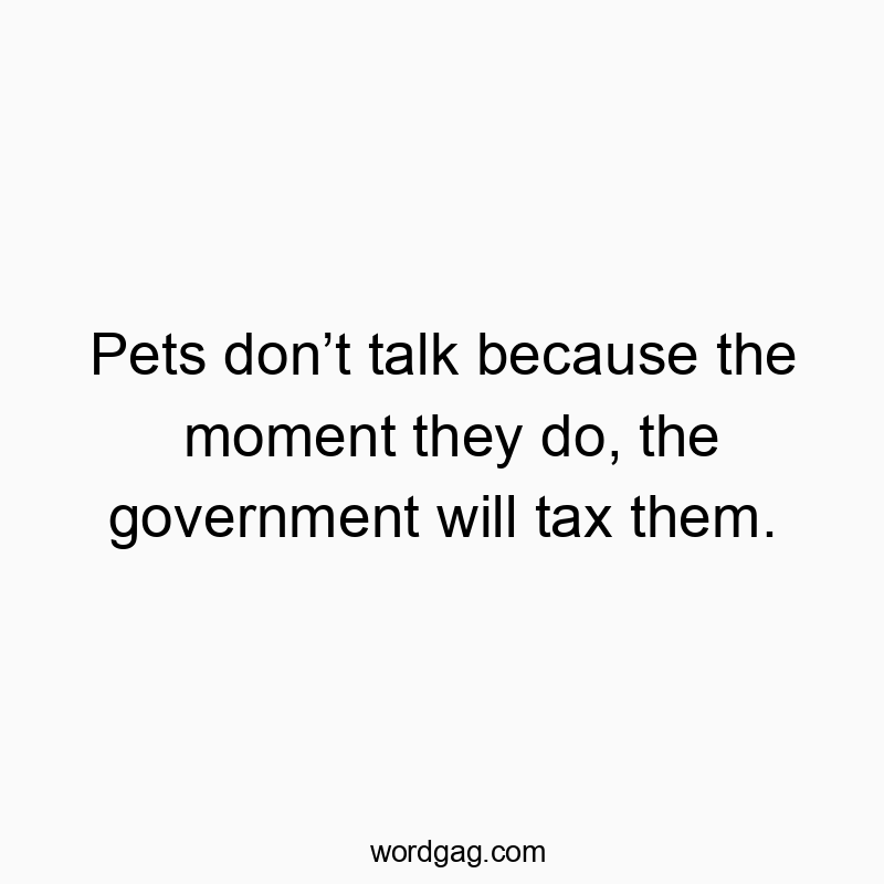 Pets donโt talk because the moment they do, the government will tax them.