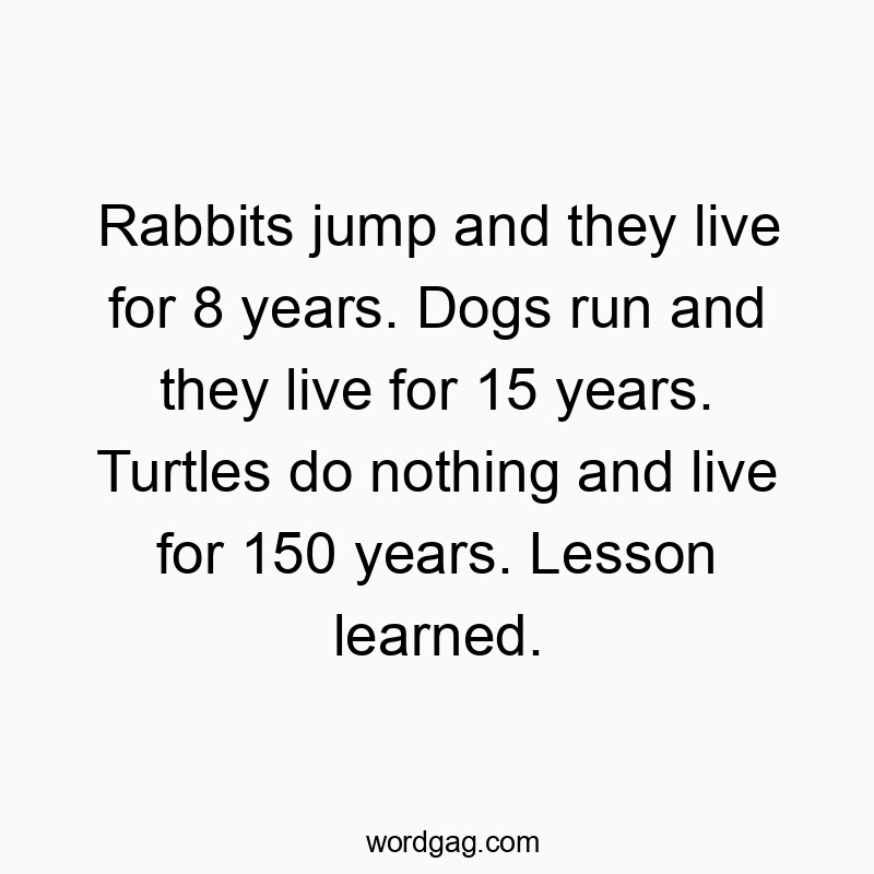 Rabbits jump and they live for 8 years. Dogs run and they live for 15 years. Turtles do nothing and live for 150 years. Lesson learned.