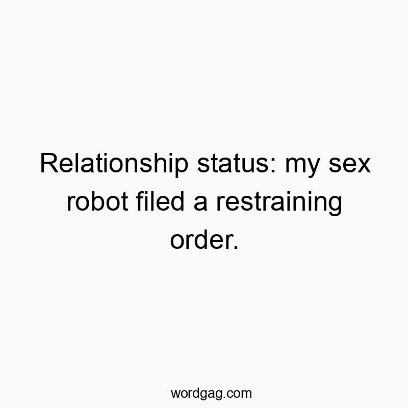 Relationship status: my sex robot filed a restraining order.