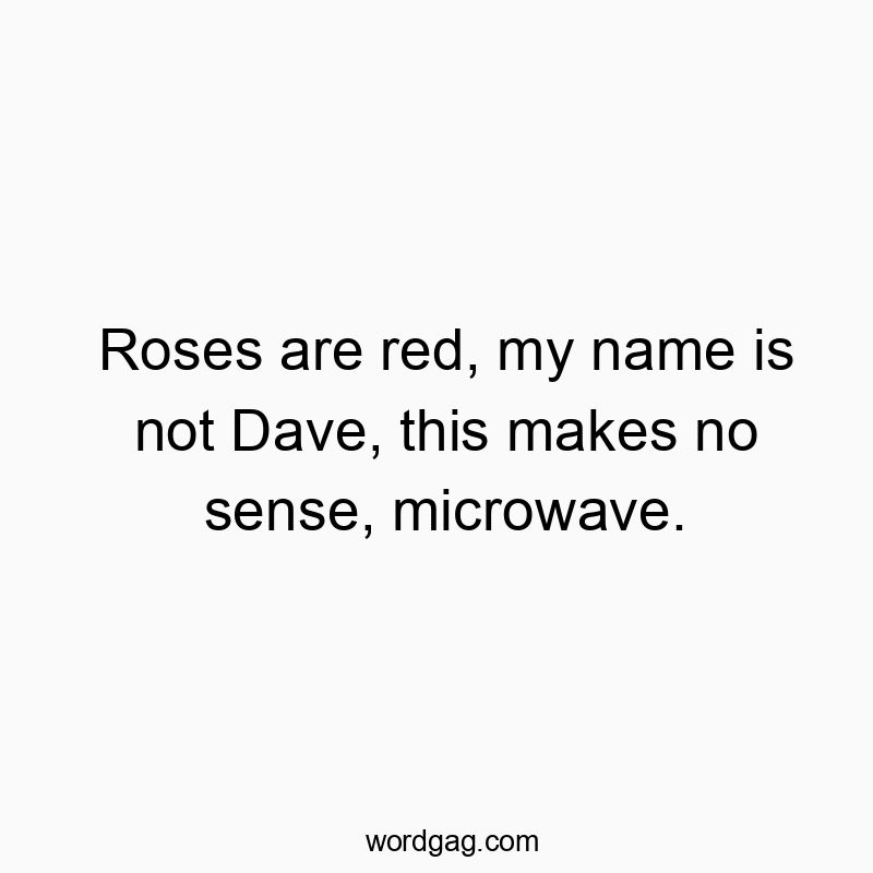 Roses are red, my name is not Dave, this makes no sense, microwave.