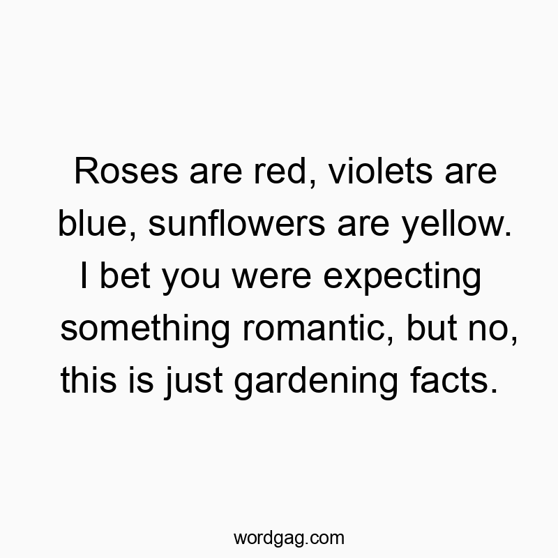 Roses are red, violets are blue, sunflowers are yellow. I bet you were expecting something romantic, but no, this is just gardening facts.