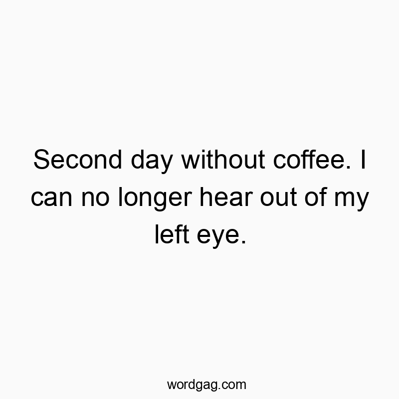 541 Funny day quotes - Second day without coffee. I can no longer hear out of my l…