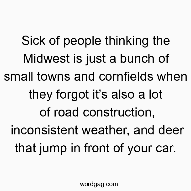 Sick of people thinking the Midwest is just a bunch of small towns and cornfields when they forgot it’s also a lot of road construction, inconsistent weather, and deer that jump in front of your car.