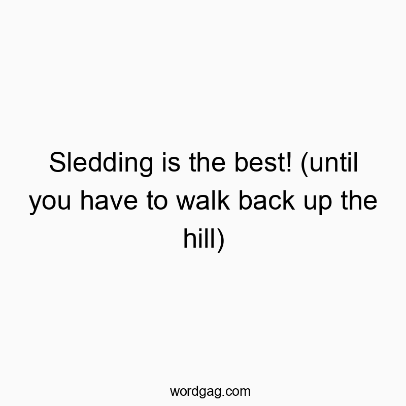 Sledding is the best! (until you have to walk back up the hill)