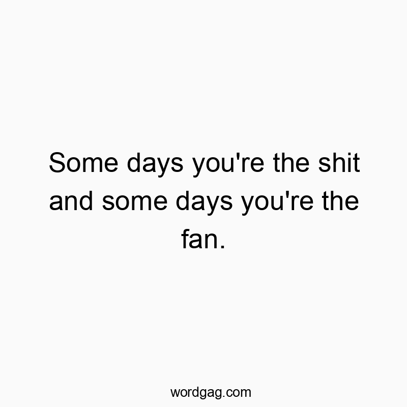 541 Funny day quotes - Some days you’re the shit and some days you’re…