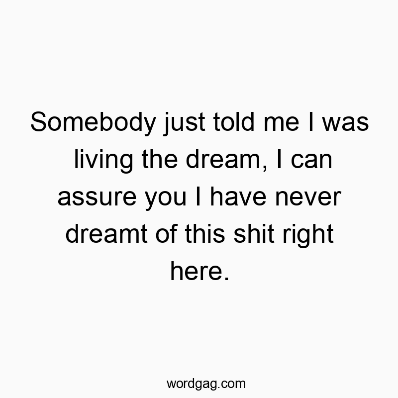 Somebody just told me I was living the dream, I can assure you I have never dreamt of this shit right here.