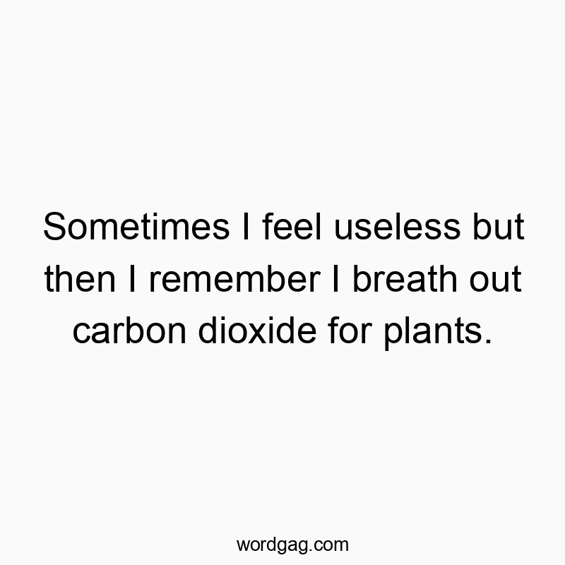 Sometimes I feel useless but then I remember I breath out carbon dioxide for plants.