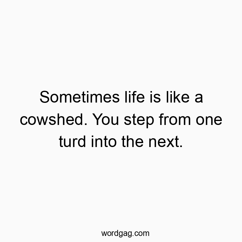 Sometimes life is like a cowshed. You step from one turd into the next.
