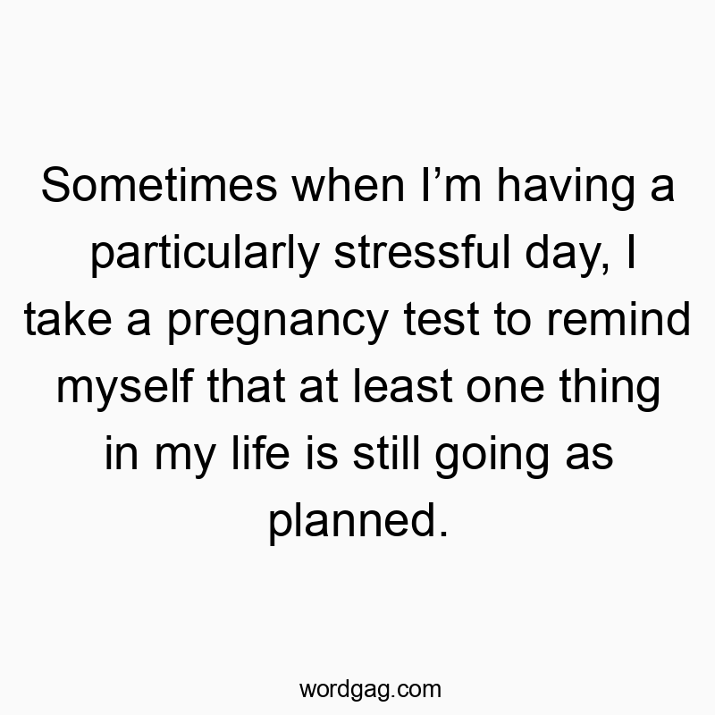 Sometimes when I’m having a particularly stressful day, I take a pregnancy test to remind myself that at least one thing in my life is still going as planned.