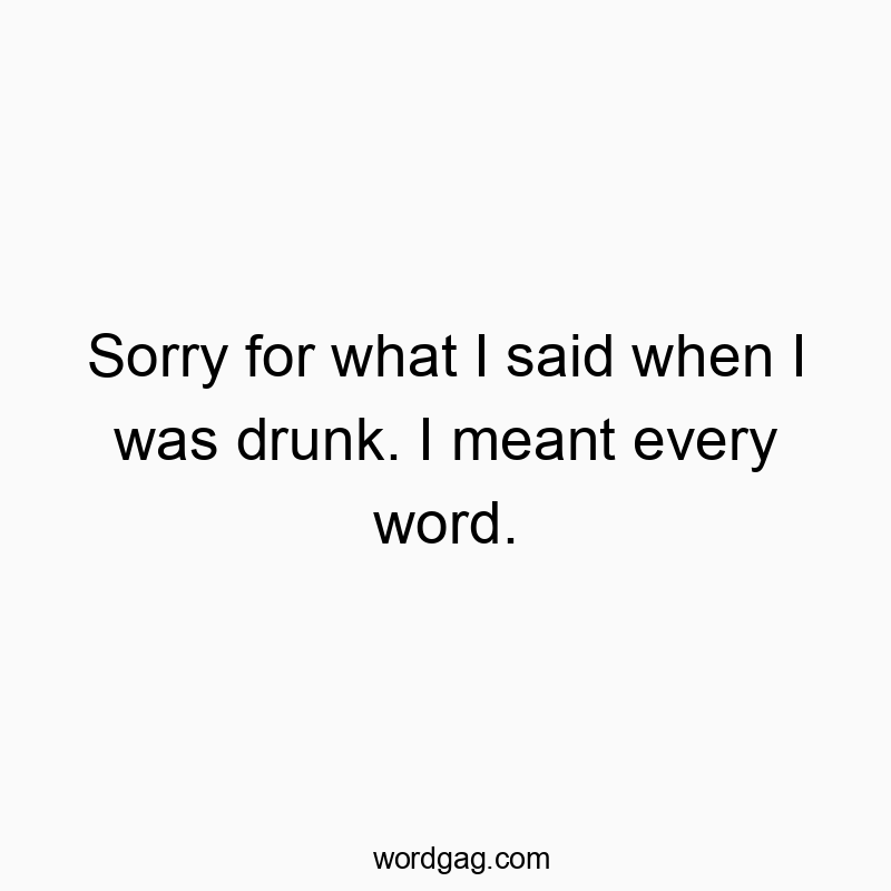 Sorry for what I said when I was drunk. I meant every word.