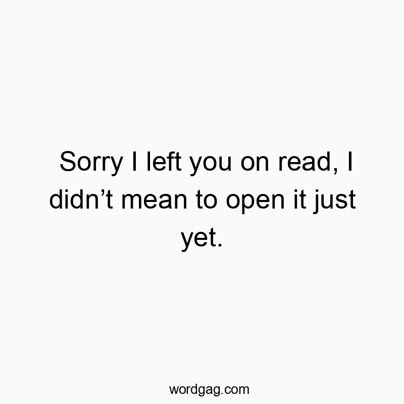 Sorry I left you on read, I didn’t mean to open it just yet.