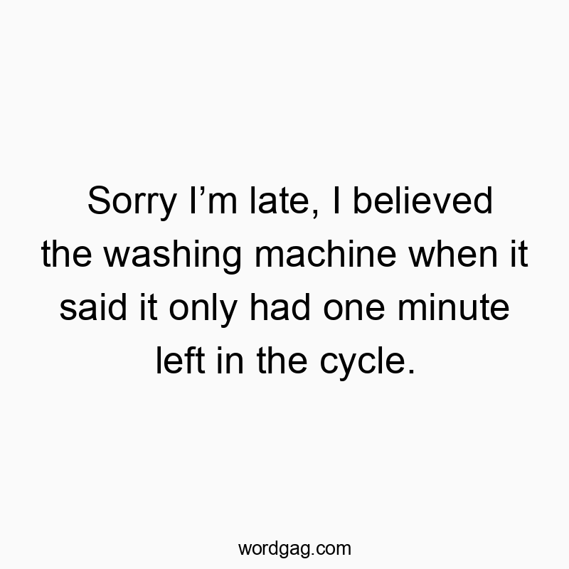 Sorry I’m late, I believed the washing machine when it said it only had one minute left in the cycle.