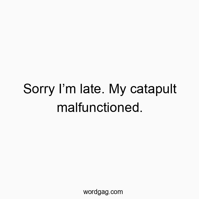 Sorry Iโm late. My catapult malfunctioned.