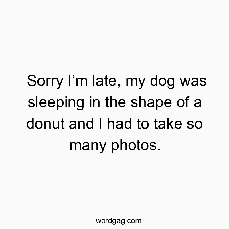 Funny photos quotes - Sorry I’m late, my dog was sleeping in the shape of a donut and I had to take so many photos.