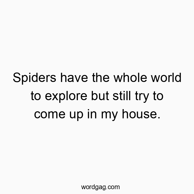Spiders have the whole world to explore but still try to come up in my house.