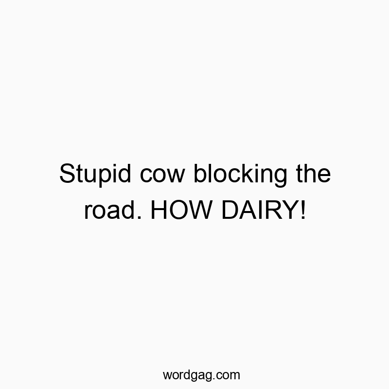 Stupid cow blocking the road. HOW DAIRY!