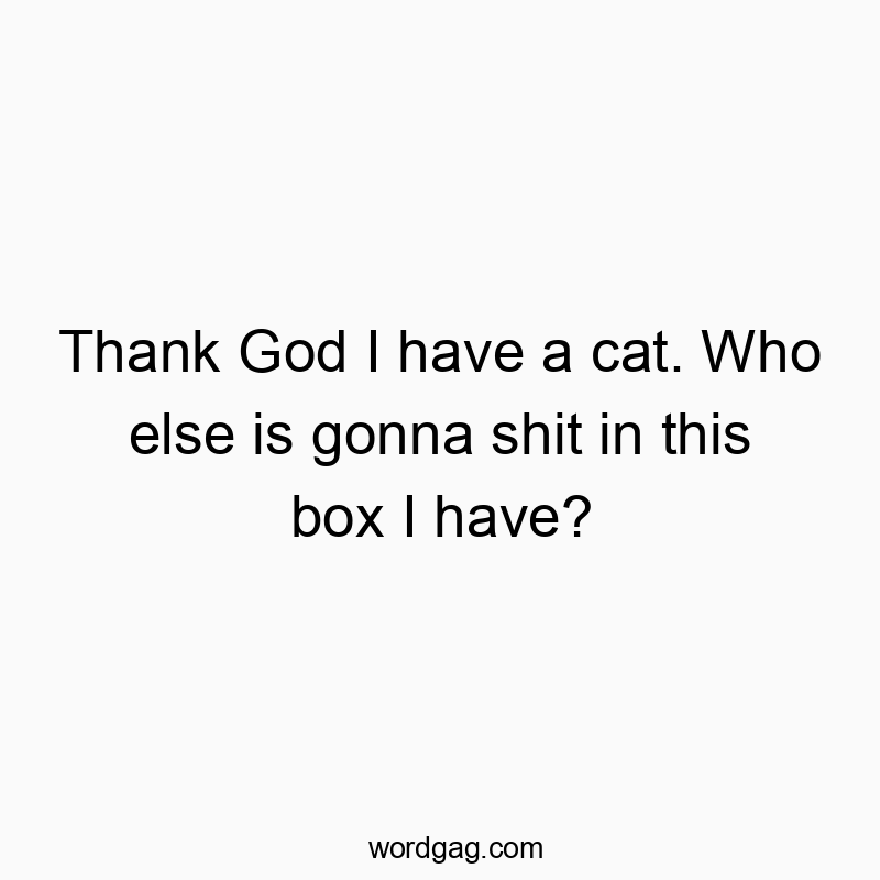 Thank God I have a cat. Who else is gonna shit in this box I have?