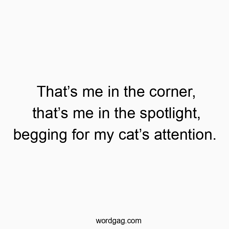 That’s me in the corner, that’s me in the spotlight, begging for my cat’s attention.