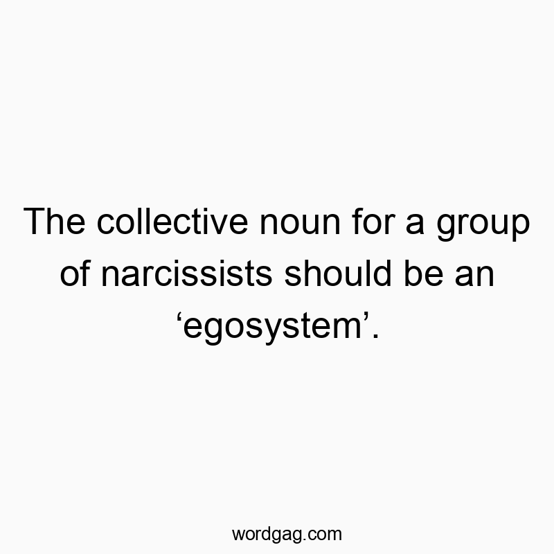 The collective noun for a group of narcissists should be an โegosystemโ.