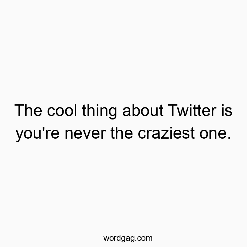 The cool thing about Twitter is you’re never the craziest one.