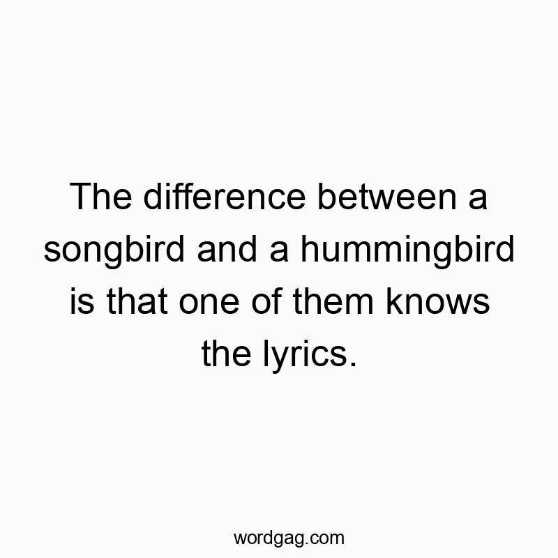 The difference between a songbird and a hummingbird is that one of them knows the lyrics.