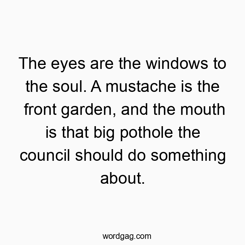 Funny council quotes - The eyes are the windows to the soul. A mustache is the fro…