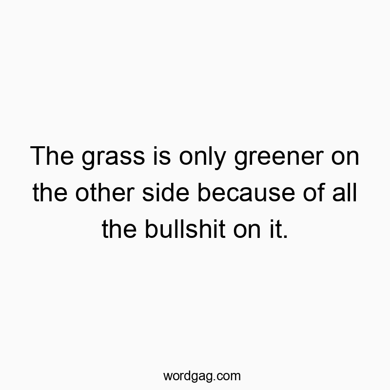The grass is only greener on the other side because of all the bullshit on it.