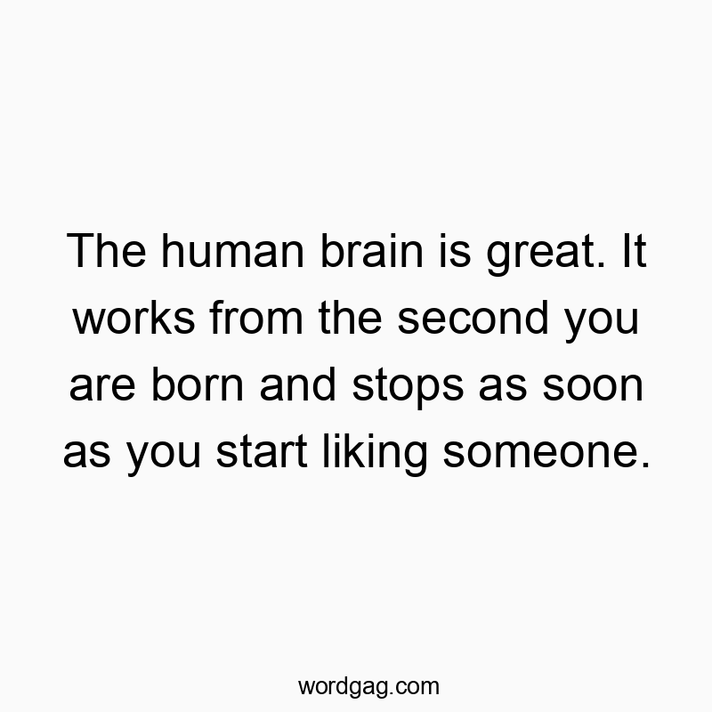 The human brain is great. It works from the second you are…
