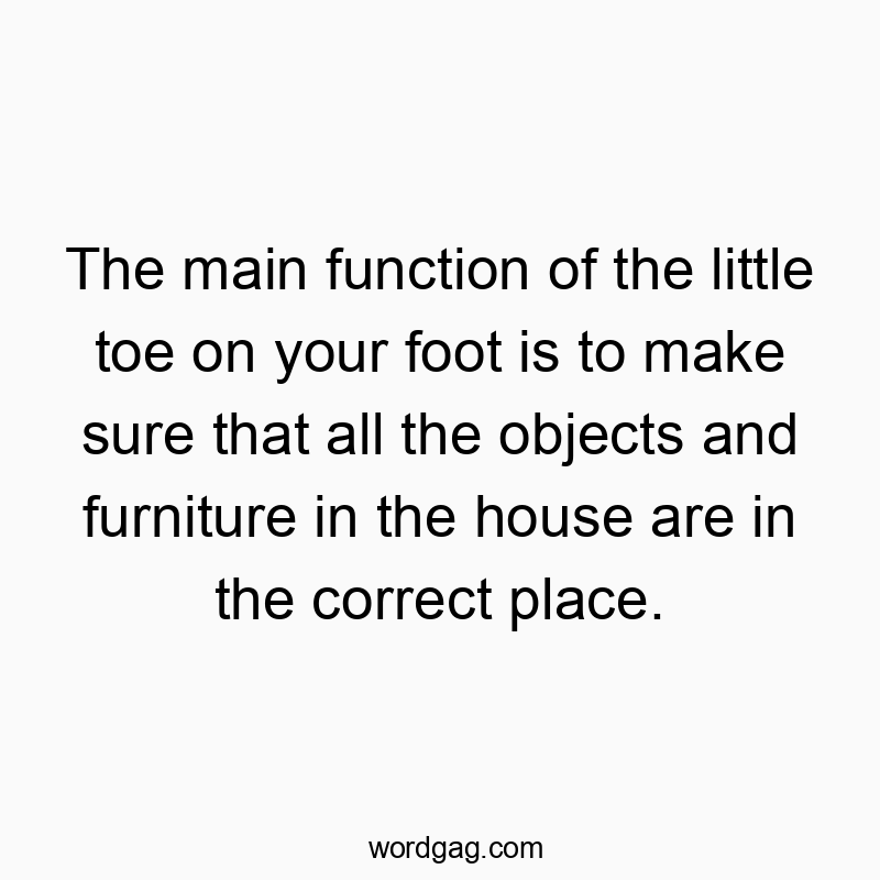 The main function of the little toe on your foot is to make sure that all the objects and furniture in the house are in the correct place.