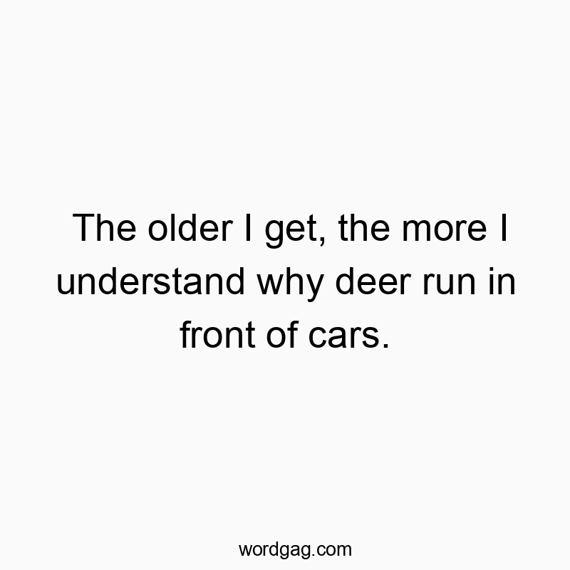 The older I get, the more I understand why deer run in front of cars.