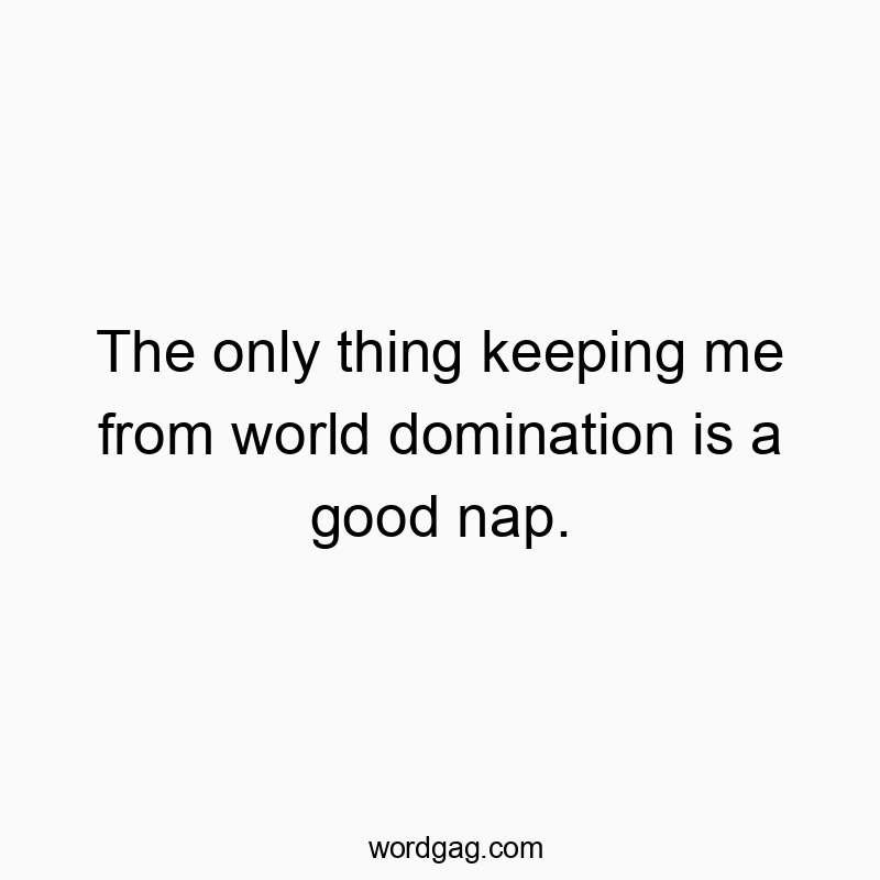 The only thing keeping me from world domination is a good nap.