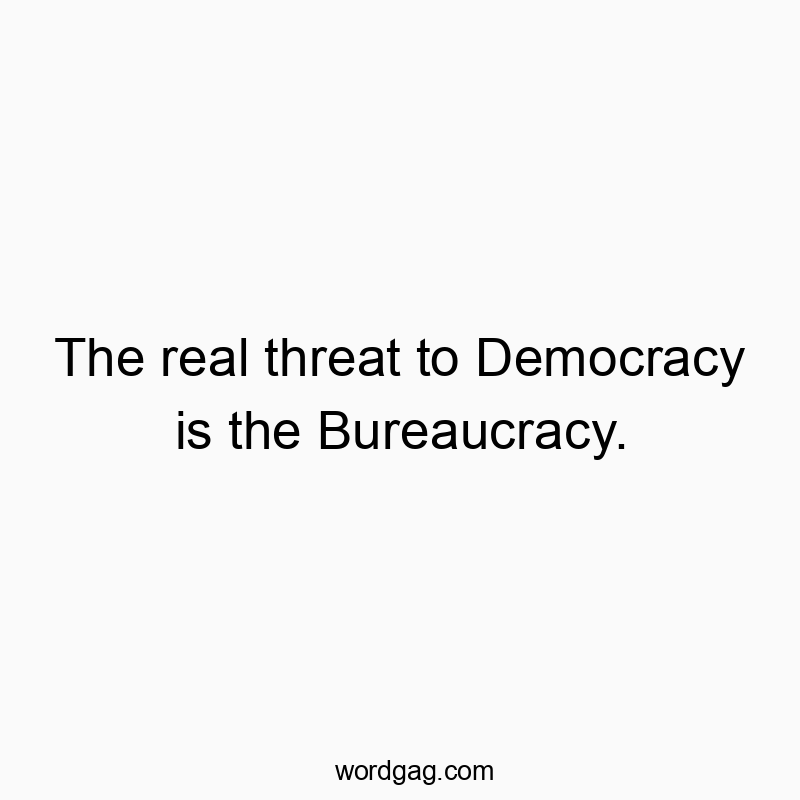 The real threat to Democracy is the Bureaucracy.