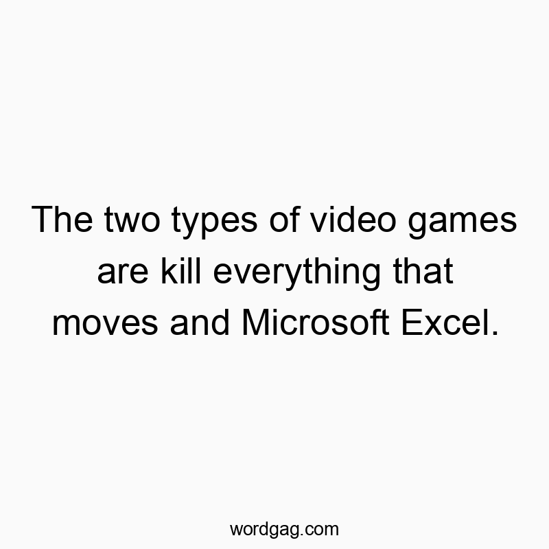 The two types of video games are kill everything that moves and Microsoft Excel.