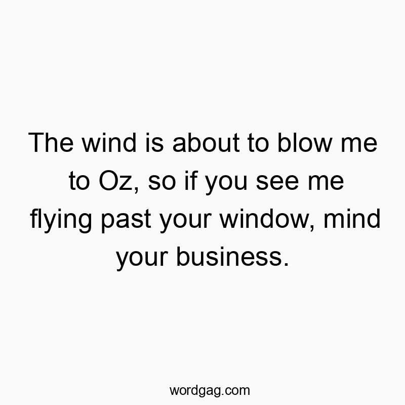 63 Funny past quotes - The wind is about to blow me to Oz, so if you see me flying…