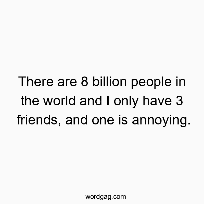 There are 8 billion people in the world and I only have 3 friends, and one is annoying.