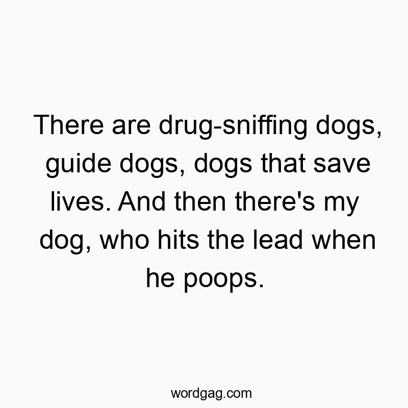 There are drug-sniffing dogs, guide dogs, dogs that save lives. And then there’s my dog, who hits the lead when he poops.