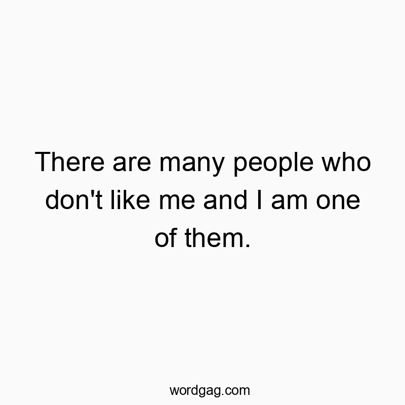 There are many people who don’t like me and I am one of them.