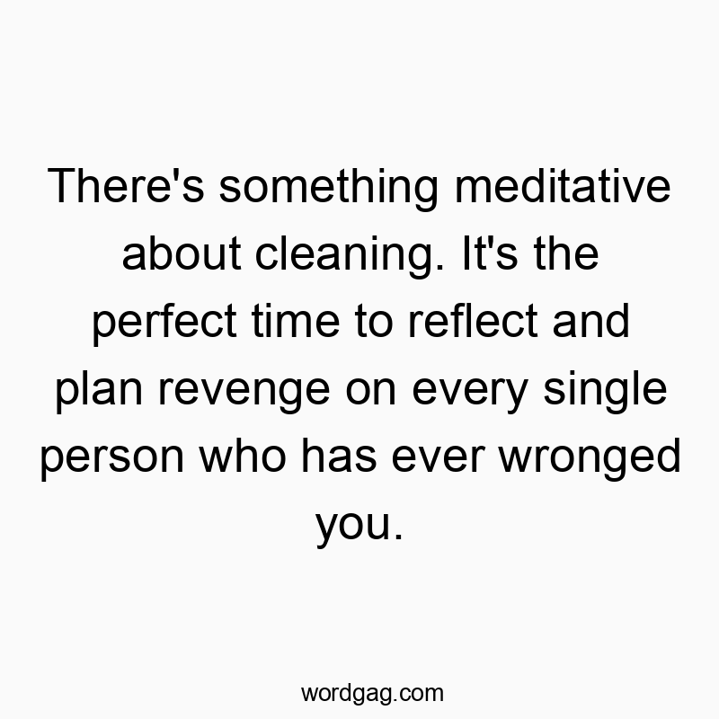 There’s something meditative about cleaning. It’s the perfect time to reflect and plan revenge on every single person who has ever wronged you.