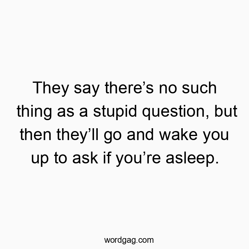 They say there’s no such thing as a stupid question, but then they’ll go and wake you up to ask if you’re asleep.