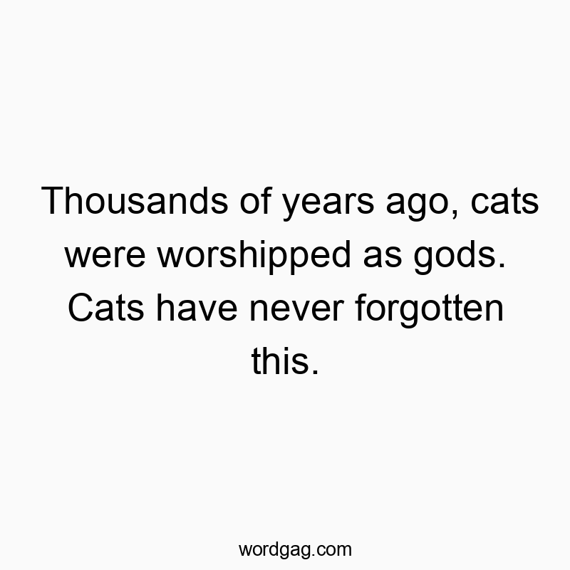 Funny God quotes - Thousands of years ago, cats were worshipped as gods. Cats have never forgotten this.