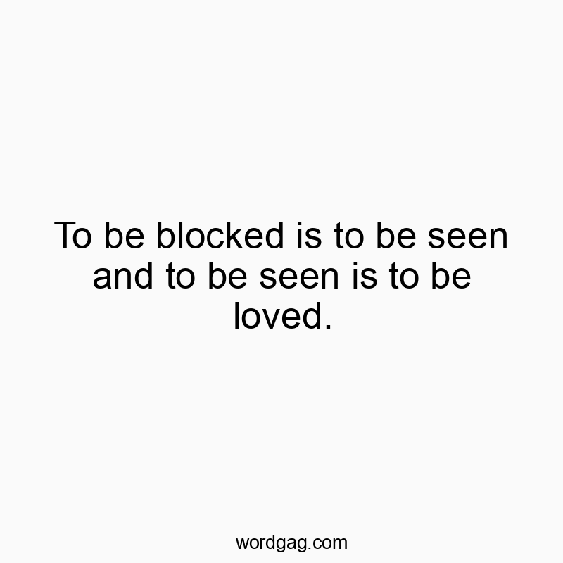 To be blocked is to be seen and to be seen is to be loved.